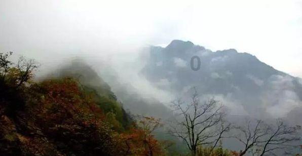 辐射避难所